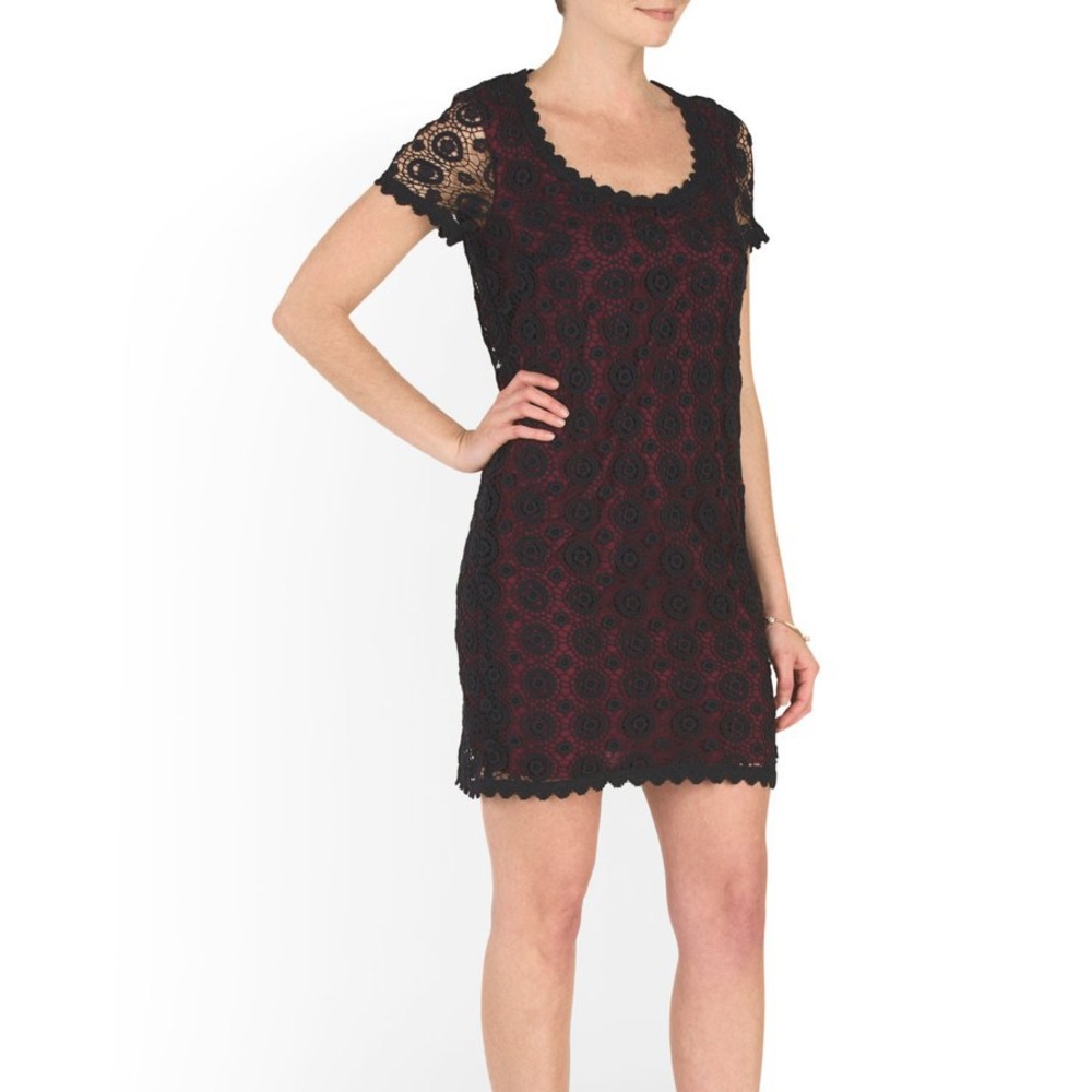 New with Tags French Connection Hope Lace Dress S